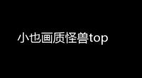 小也画质怪兽top